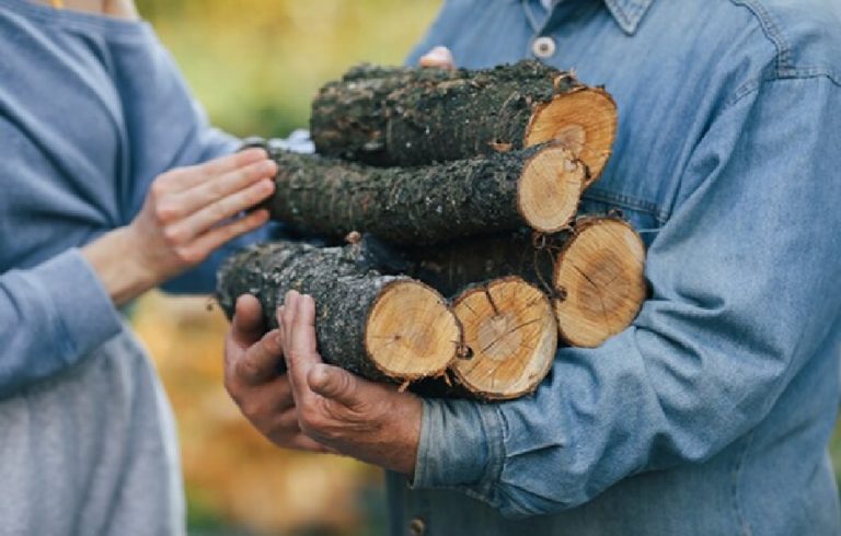 The Best Firewood for Sale in Wisconsin for Heating and Cooking Firewood