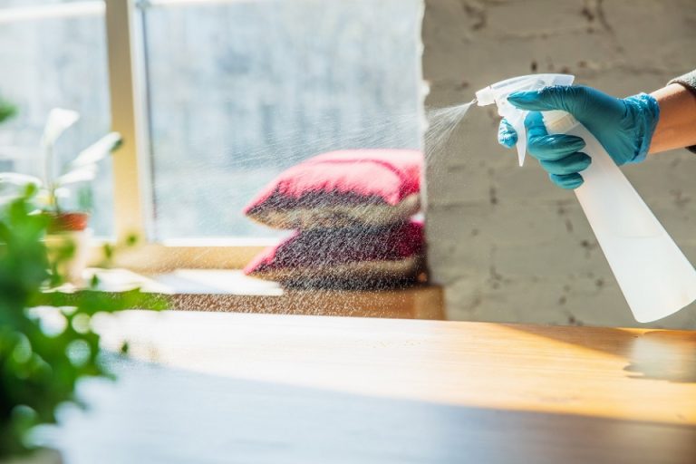 DIY Pest Control: What Works, What Doesn’t, and When to Call the Pros